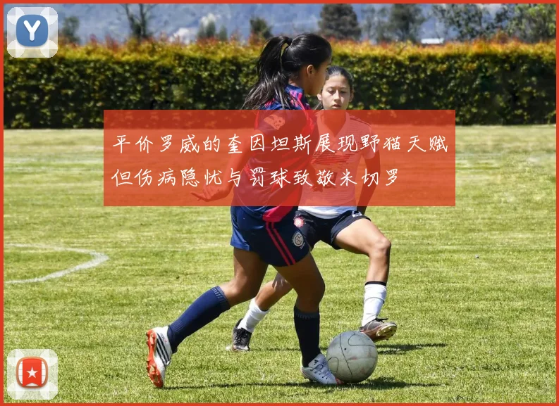 平价罗威的奎因坦斯展现野猫天赋但伤病隐忧与罚球致敬米切罗